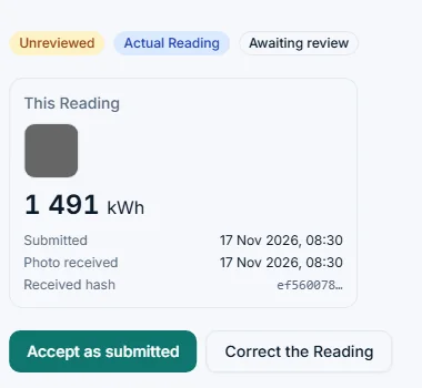 Flag review showing this Reading with its photo, upload time and fingerprint, and Accept or Correct buttons